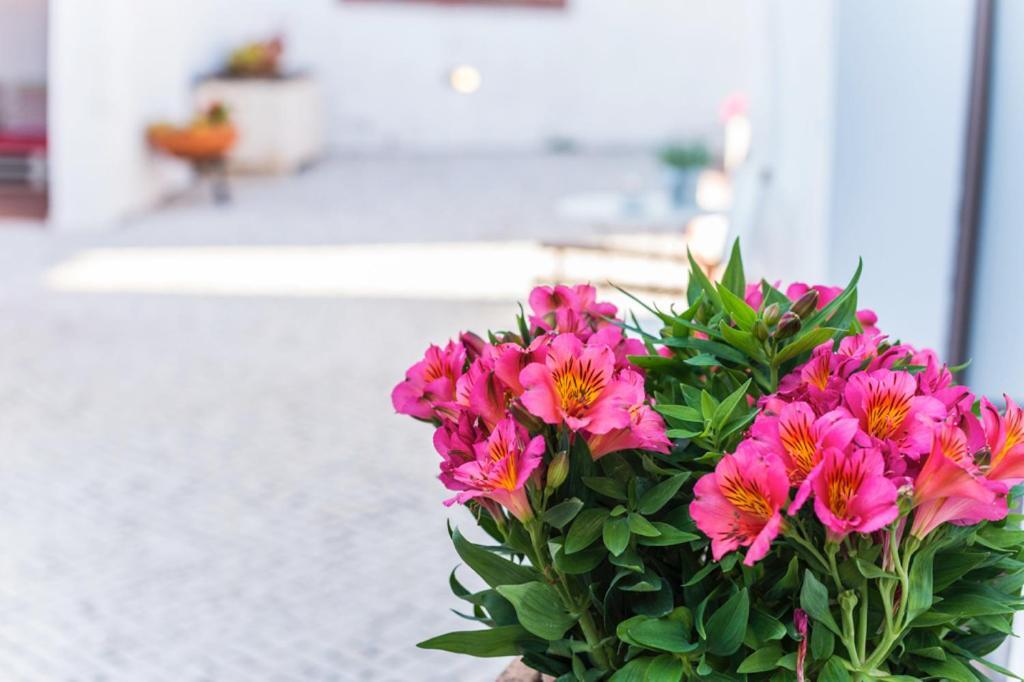 Casas Do Barrio Villa Alcobaça Екстериор снимка